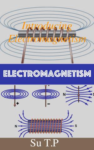 Book cover of Electromagnetism