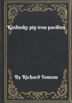 Book cover of Kaslinsky pig-iron pavilion
