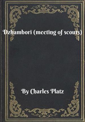 Cover of Dzhambori (meeting of scouts)