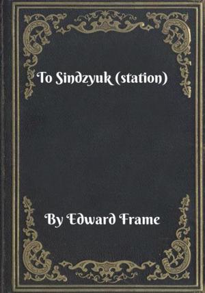 Cover of the book To Sindzyuk (station) by Judith Van Gieson