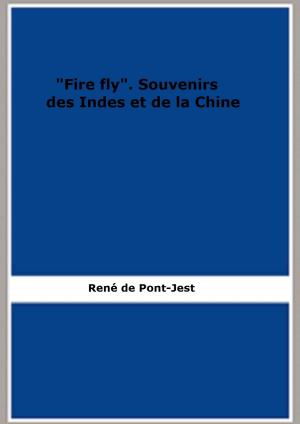 Cover of the book "Fire fly". Souvenirs des Indes et de la Chine by Guy de Pourtalès