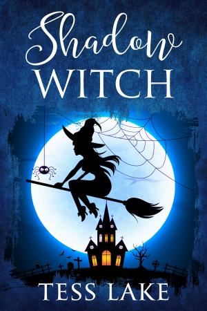 bigCover of the book Shadow Witch by 