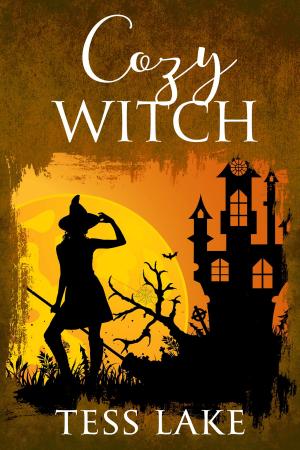 Book cover of Cozy Witch
