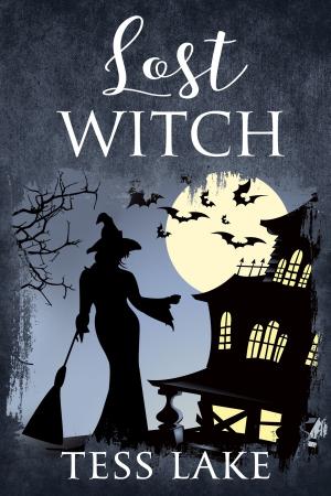 Book cover of Lost Witch
