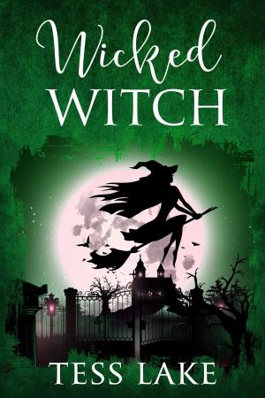 Cover of the book Wicked Witch by Penny Jordan