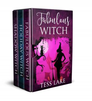 Cover of Torrent Witches Cozy Mysteries Box Set #2 Books 4-6 (Fabulous Witch, Holiday Witch, Shadow Witch)