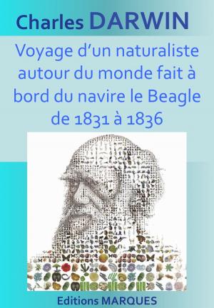 Book cover of Voyage d’un naturaliste autour du monde fait à bord du navire le Beagle de 1831 à 1836