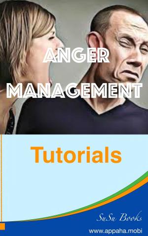 Cover of the book Anger Management by Julia Hubbel