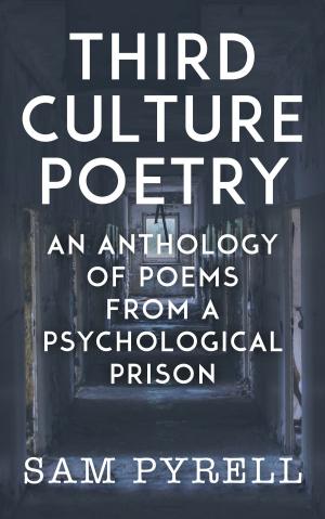 Cover of the book Third Culture Poetry by J. S. Anderson
