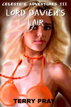 Cover of the book LORD DAVIN'S LAIR by Rod Harden