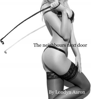 Book cover of The Neighbours Next Door