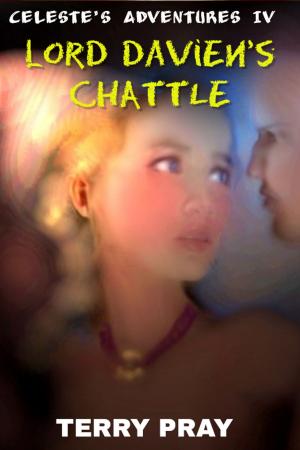 Cover of the book LORD DAVIEN'S CHATTEL by Terri Pray