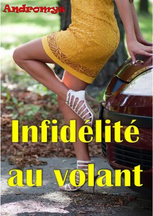 Cover of the book Infidélité au volant by Ashley Natter
