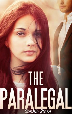Cover of the book The Paralegal by Karen Sandler