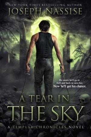 bigCover of the book A Tear in the Sky by 