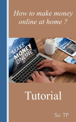 Book cover of Make Money Online Tutorial
