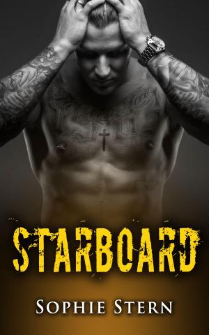 Cover of the book Starboard by Erica R. Stinson
