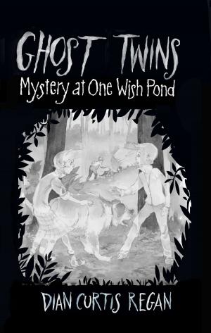 Cover of the book Ghost Twins: Mystery at One Wish Pond by Abdi Nazemian
