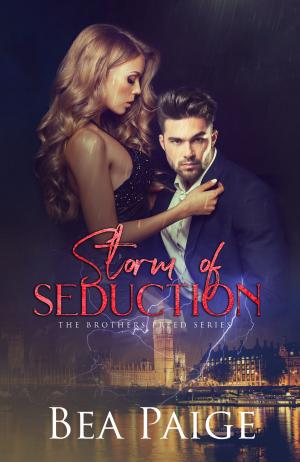 Book cover of Storm of Seduction