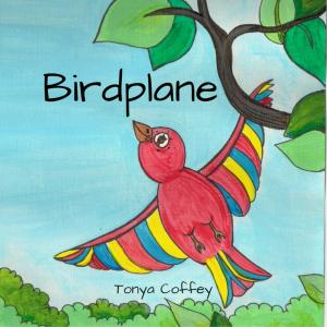 Book cover of Birdplane