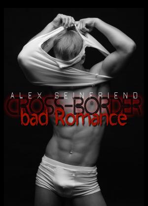 Book cover of Bad Romance - Cross-Border
