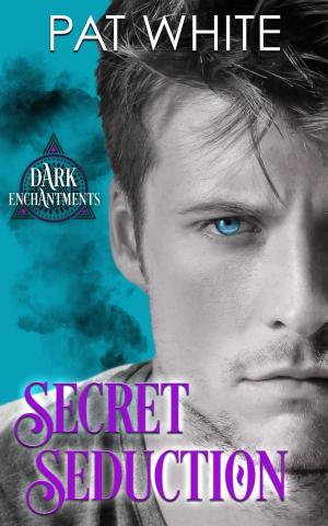 Book cover of Secret Seduction