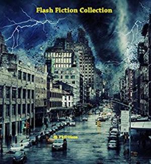 Cover of the book Lightning Reads by J. R. Rada