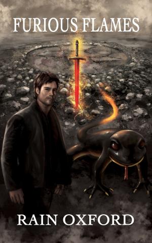Cover of the book Furious Flames by David R. Michael