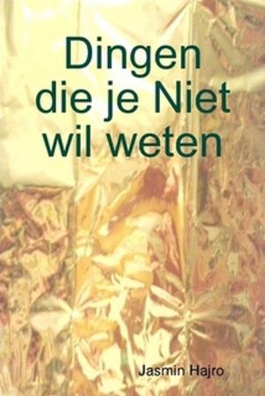 Cover of the book Dingen die je Niet wil weten by Jasmin Hajro