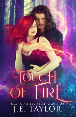 Cover of the book Touch of Fire by William F. Houle, J.E. Taylor