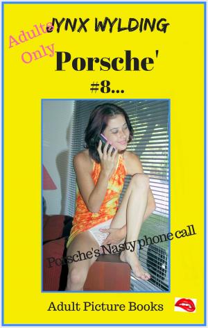 Cover of the book Porsche Nasty phone call by Peter Morgan