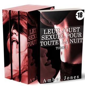 Cover of the book Leur Jouet Sexuel Pour Toute La Nuit (L'Intégrale) by Taryn Moran