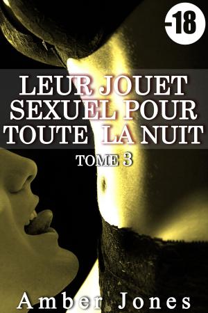 Book cover of Leur Jouet Sexuel Pour Toute La Nuit (Tome 3)