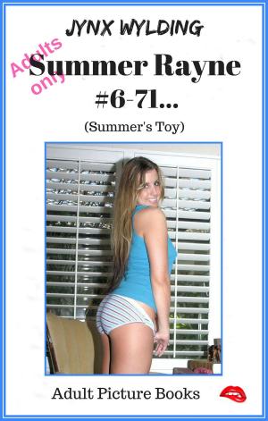 Cover of the book Summer Rayne Summers Toy by Miss Nikki