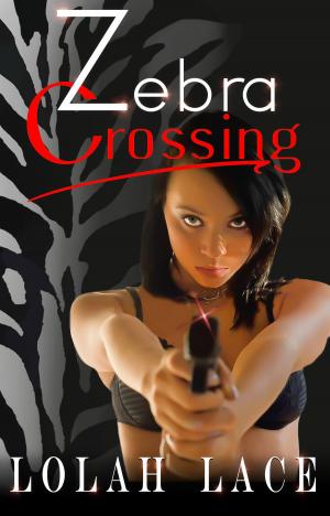Cover of the book Zebra Crossing by Kina Miratu, Naoko Aino