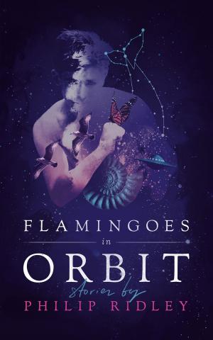 Cover of the book Flamingoes in Orbit by J. B. Priestley, Orrin Grey