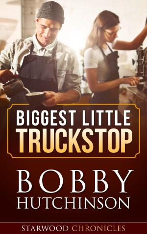 Book cover of Biggest Little Truckstop