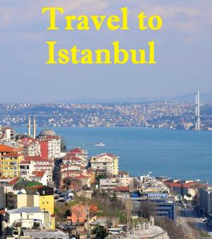 Cover of the book Travel to Istanbul by Adnan Oktar (Harun Yahya)