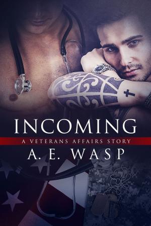 Cover of the book Incoming by Cyan Tayse