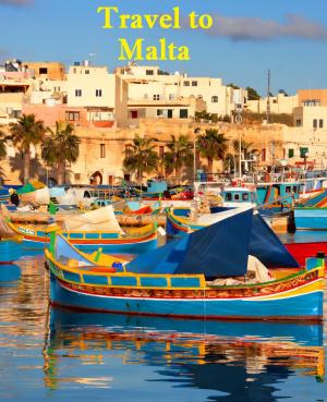 Cover of the book Travel to Malta by Prolific Language Audiobooks