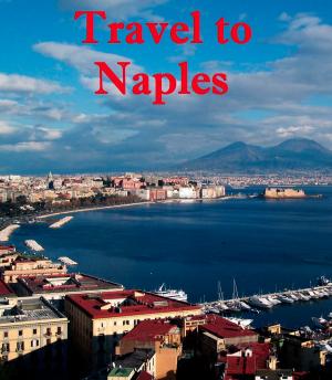 Cover of the book Travel to Naples by Harun Yahya - Adnan Oktar