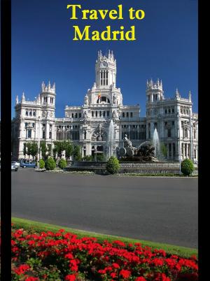 Book cover of Travel to Madrid
