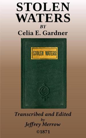 Cover of the book Stolen Waters by Emma Dorothy Eliza Nevitte Southworth