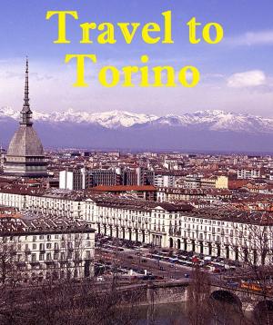 Cover of the book Travel to Torino by Harun Yahya - Adnan Oktar