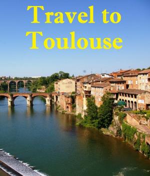 Cover of the book Travel to Toulouse by Harun Yahya