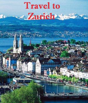 Cover of the book Travel to Zurich by Harun Yahya - Adnan Oktar