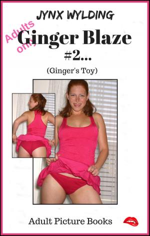 Cover of the book Ginger Blaze Gingers Toy by Dave Naz, Goliath