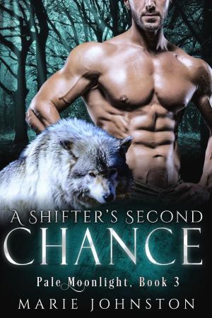 bigCover of the book A Shifter's Second Chance by 