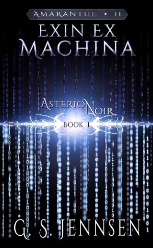 Cover of Exin Ex Machina by G. S. Jennsen, Hypernova Publishing