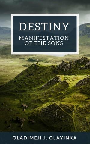 Cover of the book Destiny by Tolani M. Tijani
